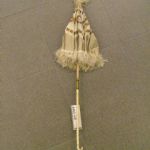 405 8450 Parasoll